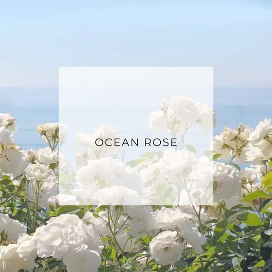 9oz Ocean Rose